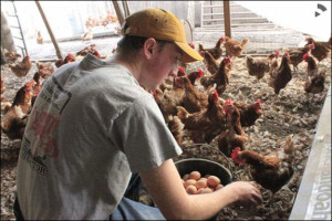 "Brothers Began Egg Business with Six Chickens, Now Supply MU Dining Halls" by Stephen Johnson.