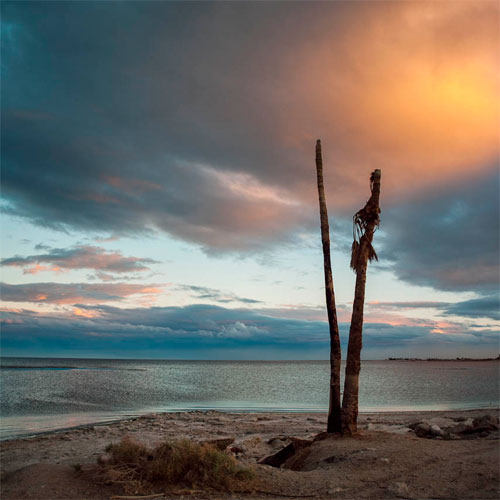 Photo by Stuart Palley, MA '13