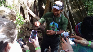 Area de Conservacion Guanacaste