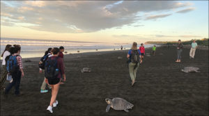 Mizzou Students in Ostional, Costa Rica