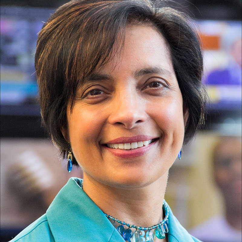 Meenakshi Gigi Durham