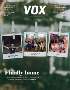 Vox June 2019