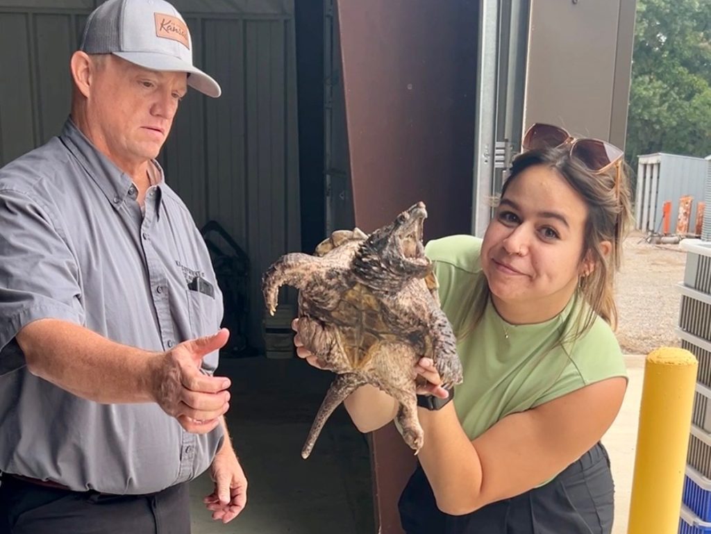 Flatland reporter Julie Freijat, an alumna of the Missouri School of Journalism, holds an alligator snapping turtle next to an employee of the Kansas Department of Wildlife and Parks in Eerie, Kansas. The goal is to reestablish the animals in Kansas. Photo: Courtesy of Julie Freijat