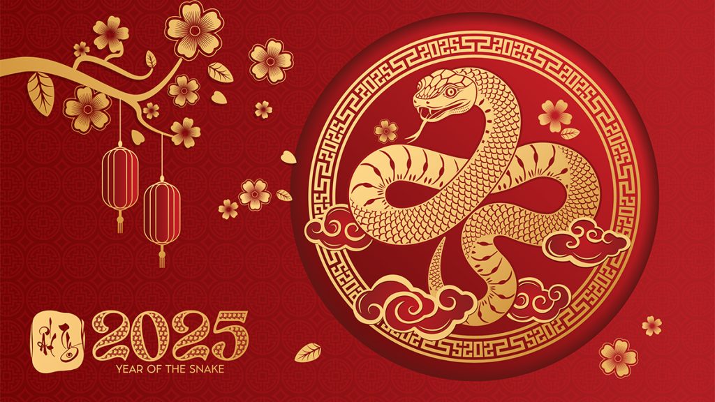 2025: The year of the snake